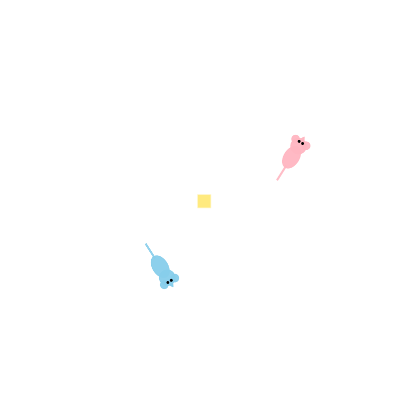 Asymmetric Social Representations in the Prefrontal Cortex for Cooperative Behavior